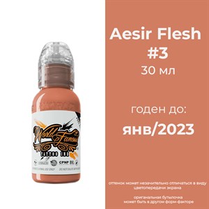Aesir Flesh #3 30 мл - краска для тренировки World Famous - фото 16824
