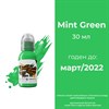 Mint Green  30 мл - краска для тренировки World Famous - фото 16822
